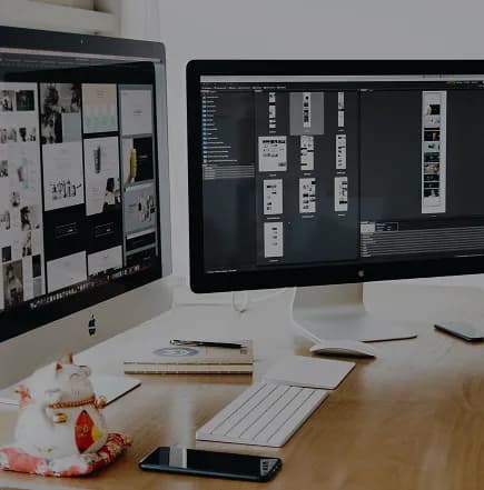 Manage App & E-Store